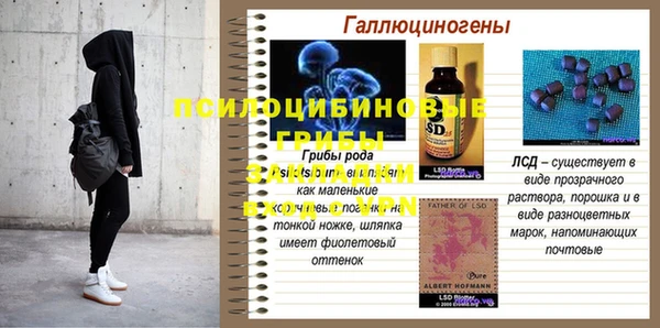 apvp Остров