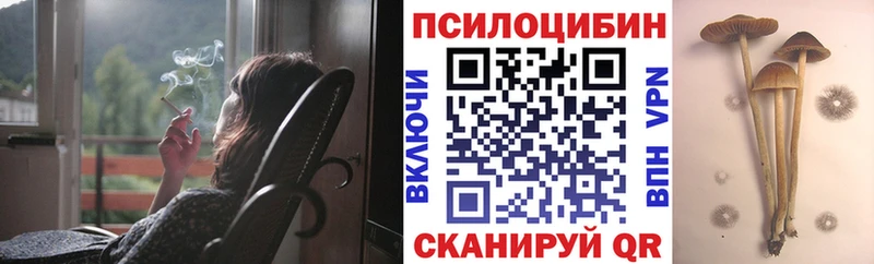 Галлюциногенные грибы Magic Shrooms  наркошоп  Давлеканово 